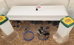 Sweeter Heater Coop & Brooder Heater (4 sizes)