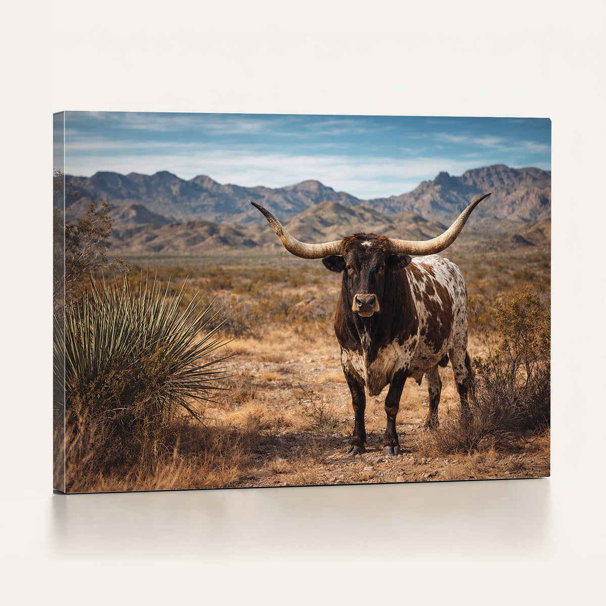 Texas Longhorn Bull Wall Art Canvas Print, Western Farmhouse Decor