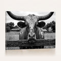 Black White Texas Longhorn Bull Canvas Wall Art, Western Ranch Cattle
