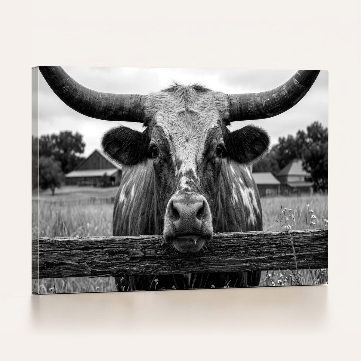Black White Texas Longhorn Bull Canvas Wall Art, Western Ranch Cattle