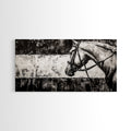 Monochrome Horse, Equestrian Wall Art, Canvas Print, Rustic Black and White Painting, Farmhouse Wall Decor, Western Wall Art