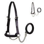 Derby Originals Premium Raised Padded Leather Cattle Show Halter, Small/Medium/Large, Adjustable Fit with 48" Lead and 14" Chain, Durable Hardware, 1-Year Warranty