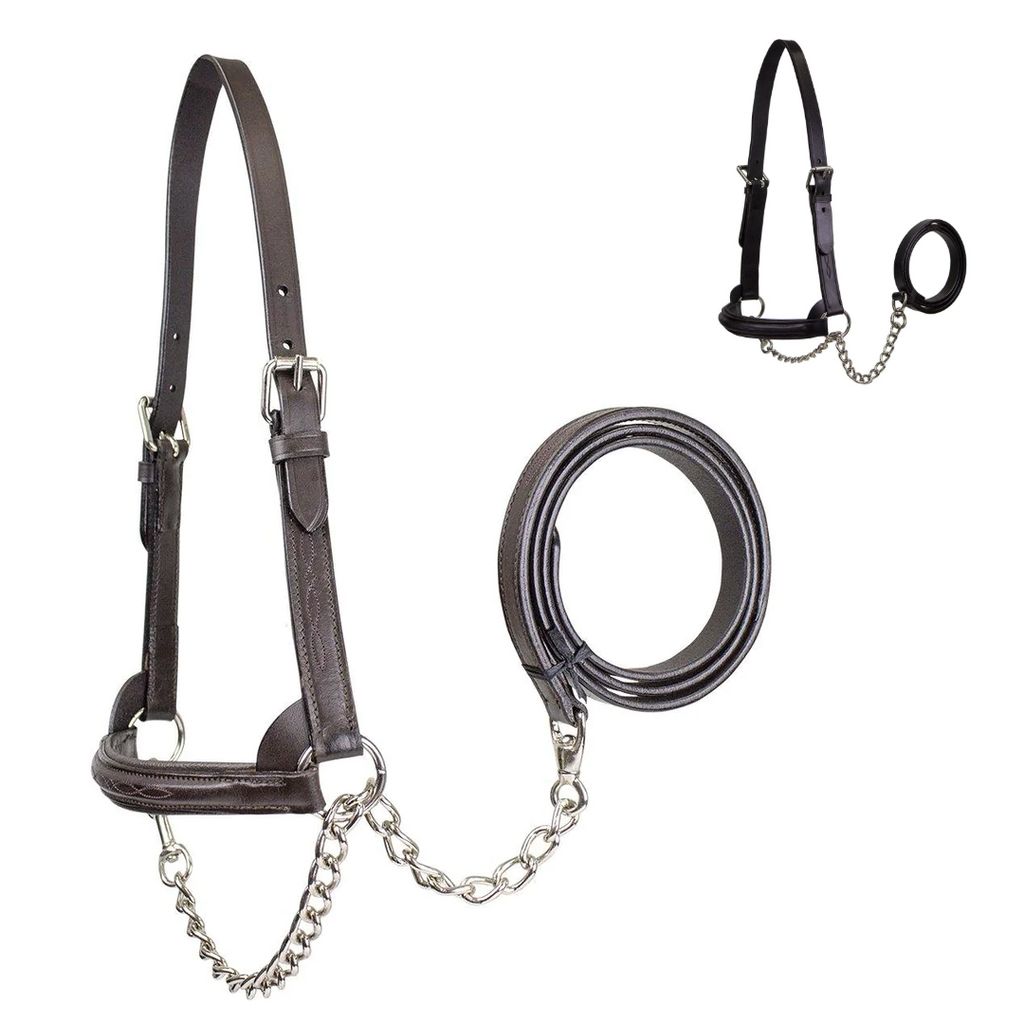 Derby Originals Premium Raised Padded Leather Cattle Show Halter, Small/Medium/Large, Adjustable Fit with 48" Lead and 14" Chain, Durable Hardware, 1-Year Warranty