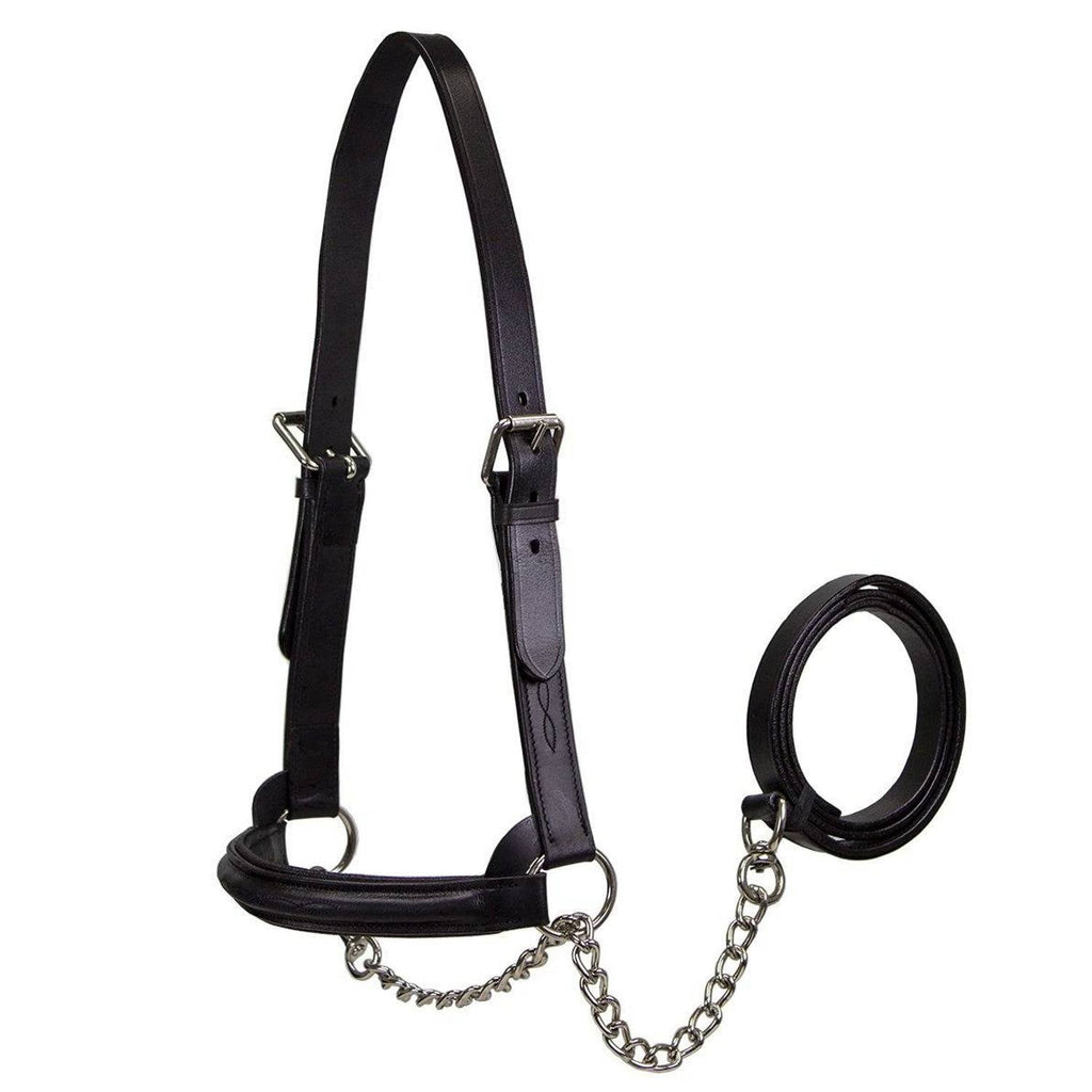 Derby Originals Premium Raised Padded Leather Cattle Show Halter, Small/Medium/Large, Adjustable Fit with 48" Lead and 14" Chain, Durable Hardware, 1-Year Warranty