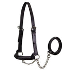Derby Originals Premium Raised Padded Leather Cattle Show Halter, Small/Medium/Large, Adjustable Fit with 48" Lead and 14" Chain, Durable Hardware, 1-Year Warranty