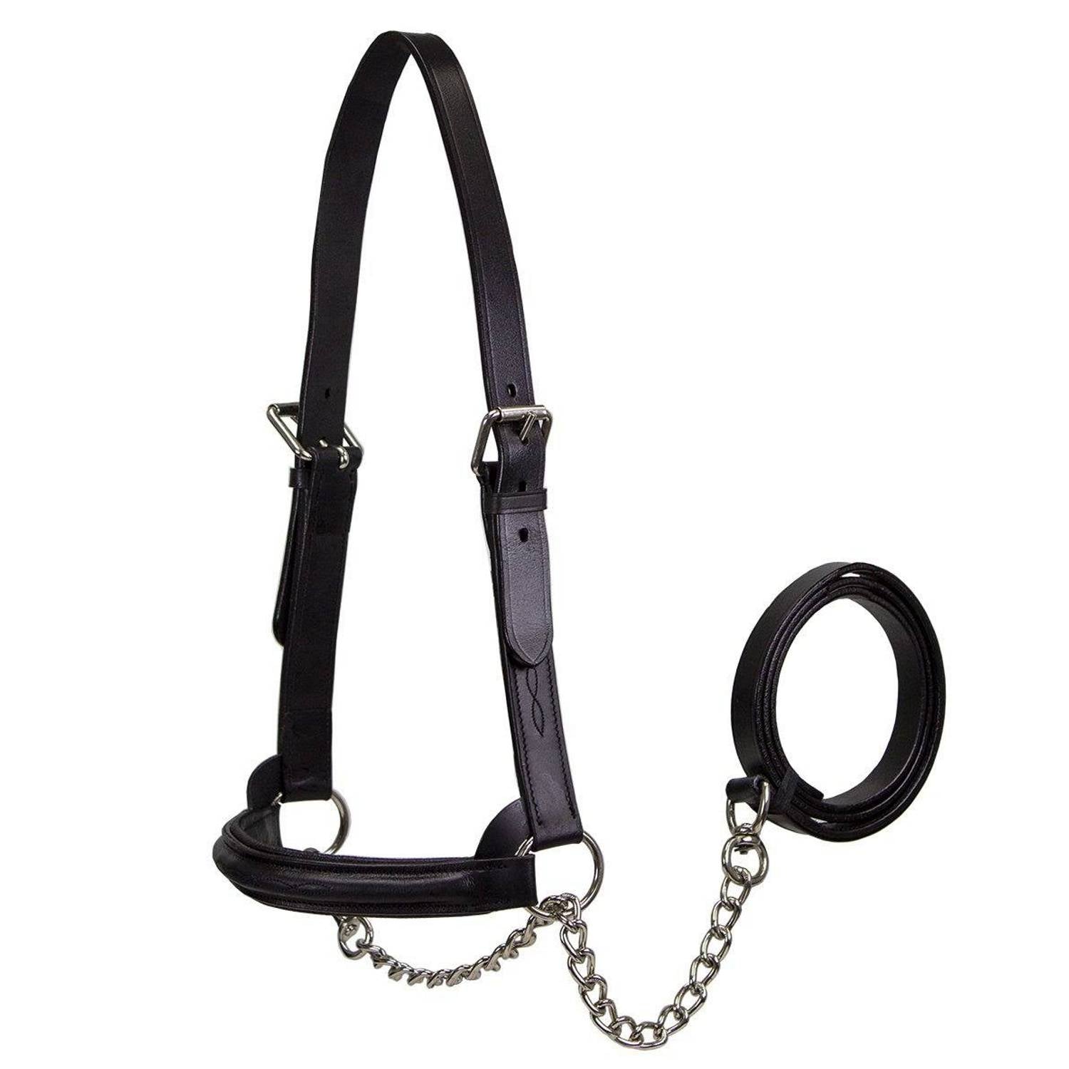 Derby Originals Premium Raised Padded Leather Cattle Show Halter, Small/Medium/Large, Adjustable Fit with 48" Lead and 14" Chain, Durable Hardware, 1-Year Warranty