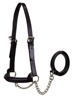 Derby Originals Premium Raised Padded Leather Cattle Show Halter, Small/Medium/Large, Adjustable Fit with 48" Lead and 14" Chain, Durable Hardware, 1-Year Warranty