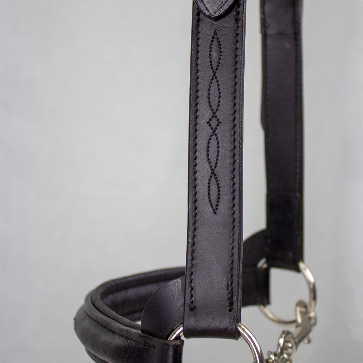 Derby Originals Premium Raised Padded Leather Cattle Show Halter, Small/Medium/Large, Adjustable Fit with 48" Lead and 14" Chain, Durable Hardware, 1-Year Warranty