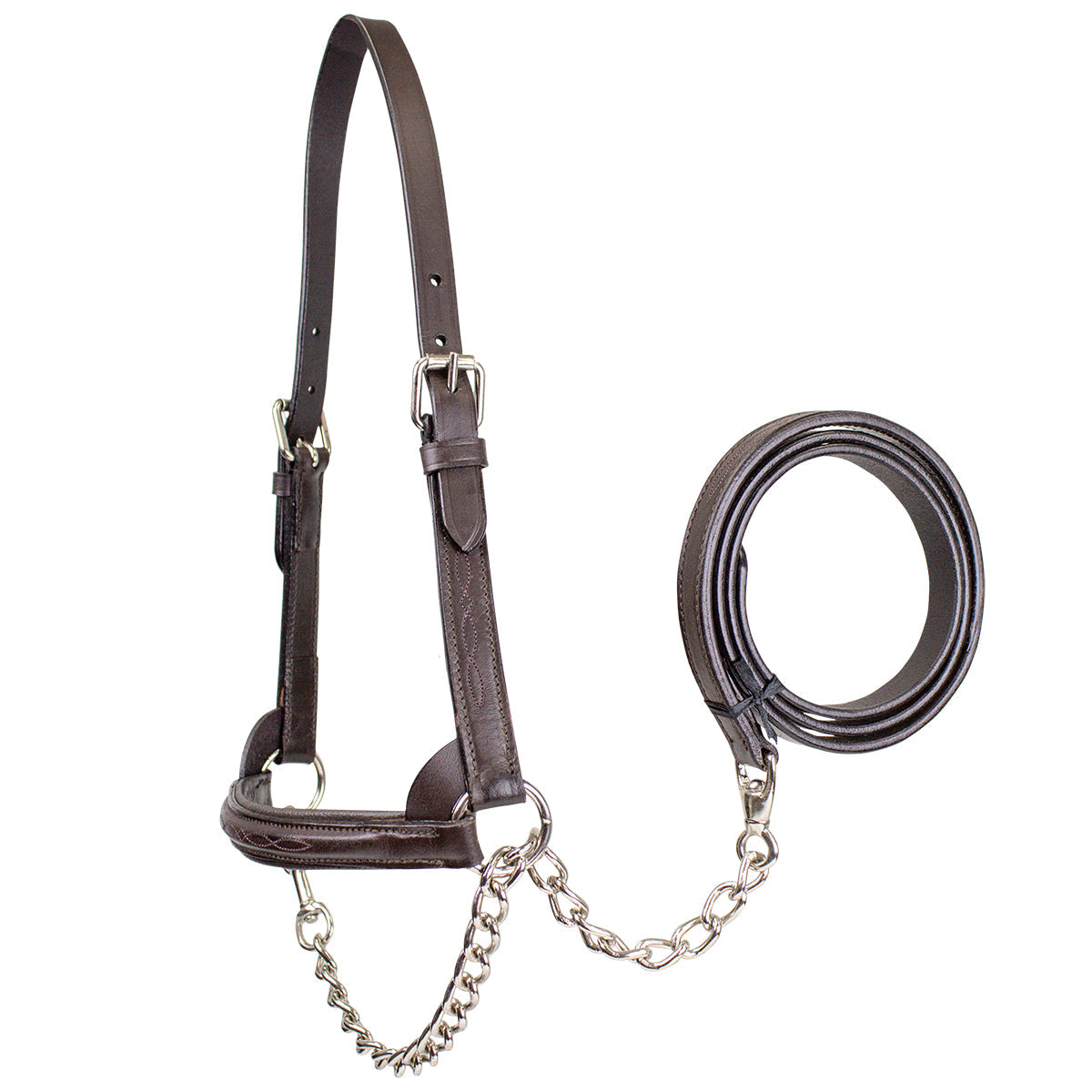 Derby Originals Premium Raised Padded Leather Cattle Show Halter, Small/Medium/Large, Adjustable Fit with 48" Lead and 14" Chain, Durable Hardware, 1-Year Warranty