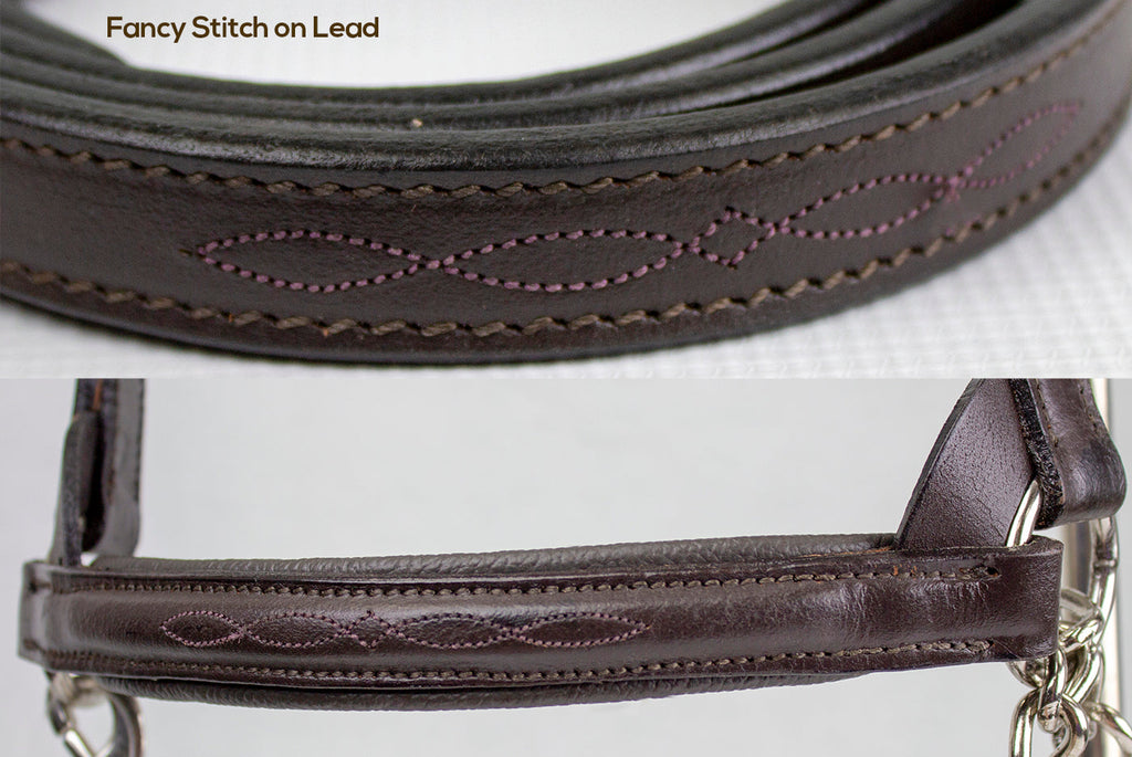 Derby Originals Premium Raised Padded Leather Cattle Show Halter, Small/Medium/Large, Adjustable Fit with 48" Lead and 14" Chain, Durable Hardware, 1-Year Warranty