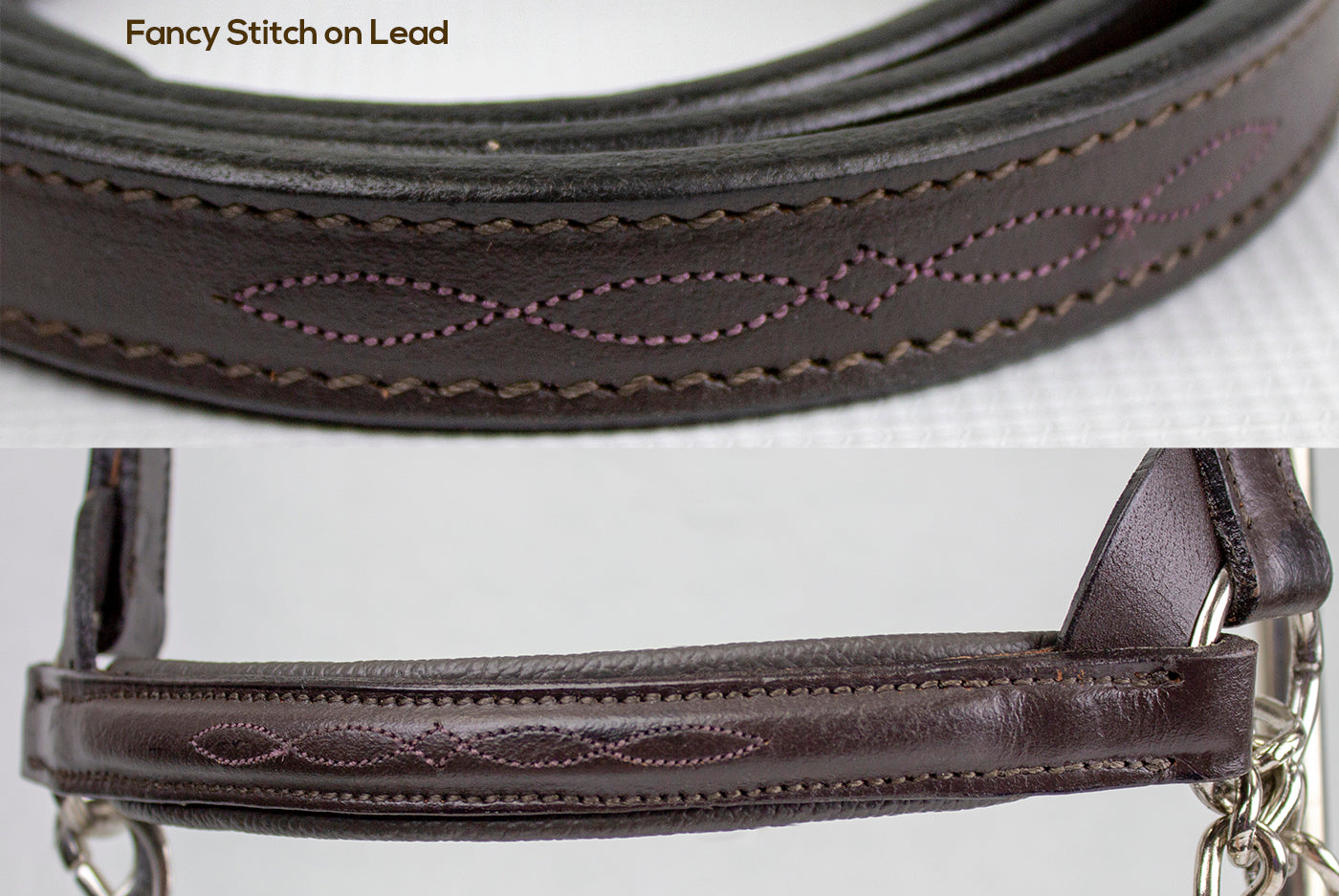 Derby Originals Premium Raised Padded Leather Cattle Show Halter, Small/Medium/Large, Adjustable Fit with 48" Lead and 14" Chain, Durable Hardware, 1-Year Warranty