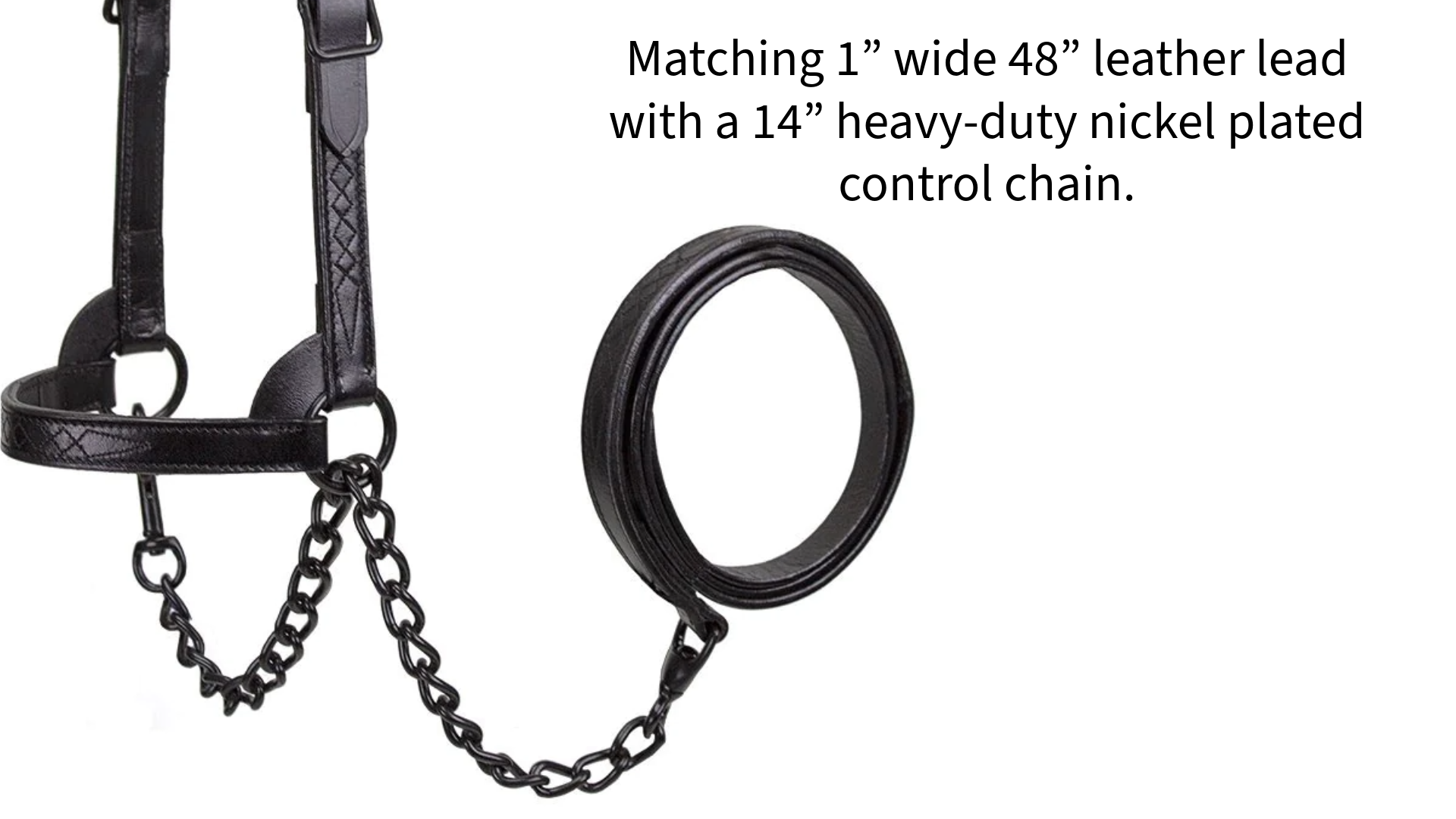 Derby Originals Midnight All Black Flat Fancy Stitch Leather Cattle Show Halter, Small/Medium/Large, Adjustable Fit with 48" Lead and 14" Chain, Durable Hardware, Ideal for Shows, 1-Year Warranty