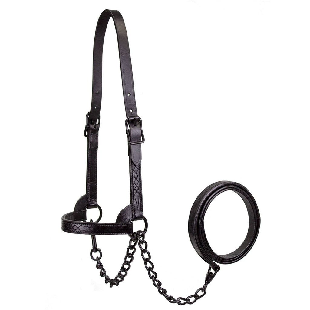Derby Originals Midnight All Black Flat Fancy Stitch Leather Cattle Show Halter, Small/Medium/Large, Adjustable Fit with 48" Lead and 14" Chain, Durable Hardware, Ideal for Shows, 1-Year Warranty
