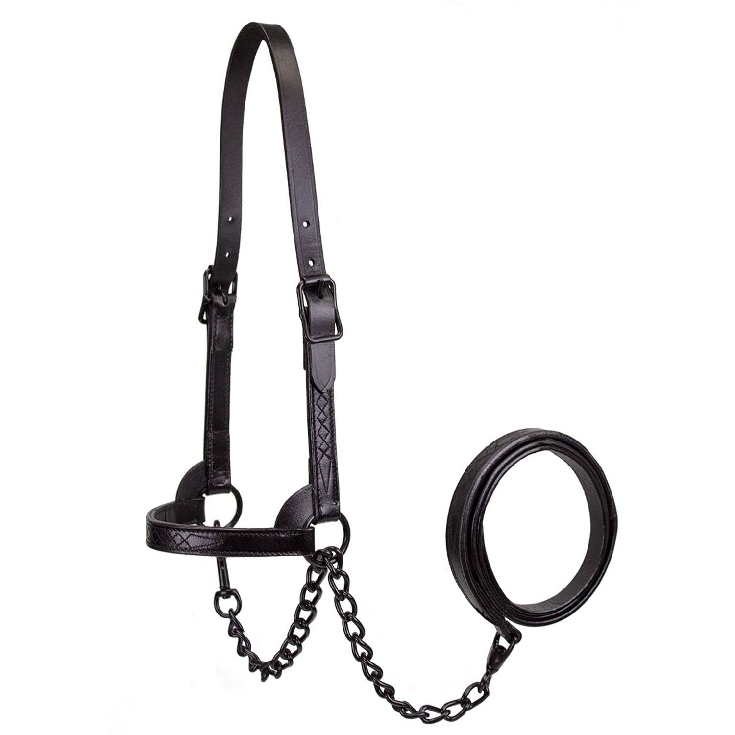 Derby Originals Midnight All Black Flat Fancy Stitch Leather Cattle Show Halter, Small/Medium/Large, Adjustable Fit with 48" Lead and 14" Chain, Durable Hardware, Ideal for Shows, 1-Year Warranty
