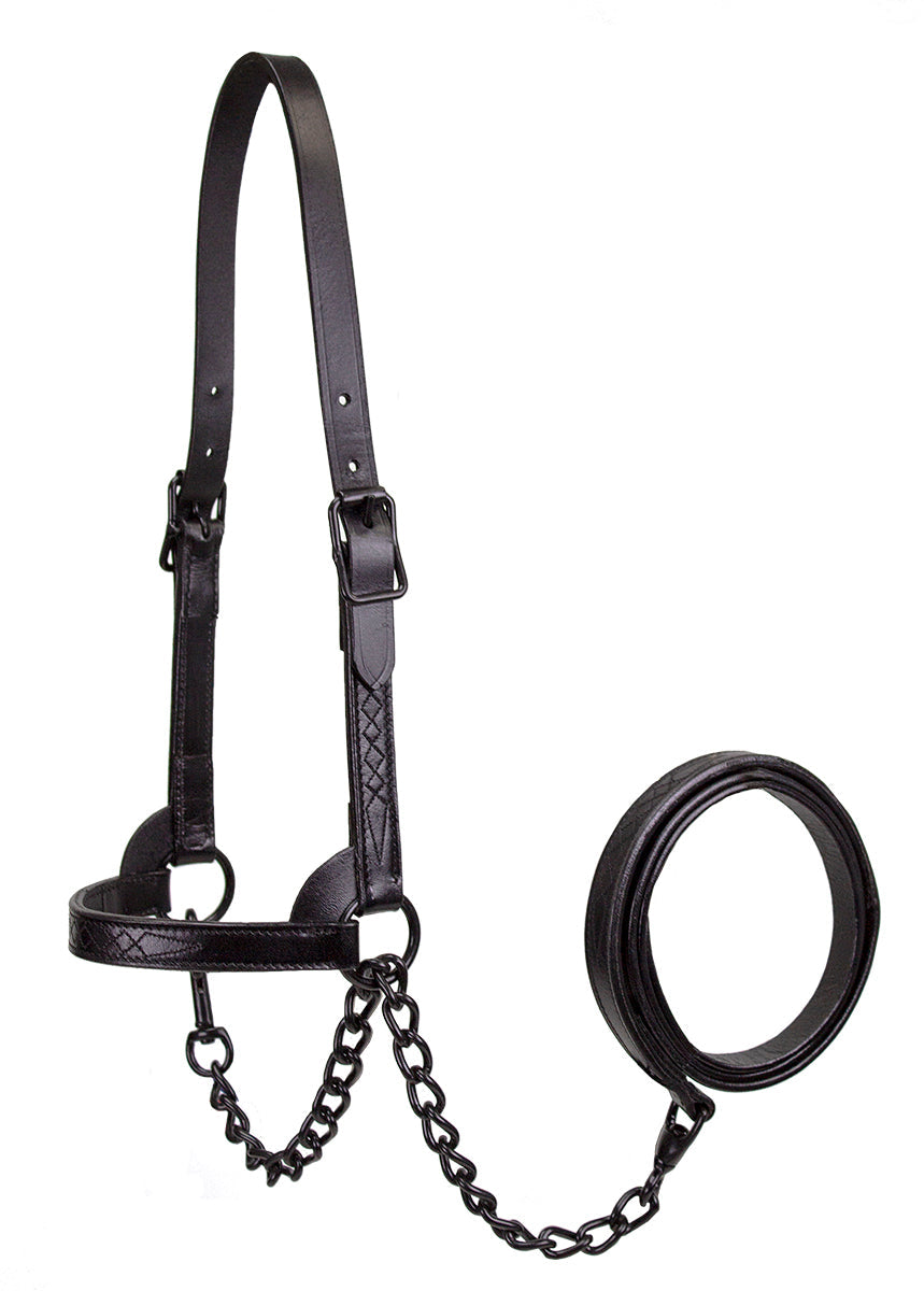 Derby Originals Midnight All Black Flat Fancy Stitch Leather Cattle Show Halter, Small/Medium/Large, Adjustable Fit with 48" Lead and 14" Chain, Durable Hardware, Ideal for Shows, 1-Year Warranty
