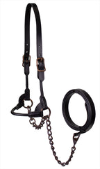 Derby Originals Bronze Beauty Rolled Leather Cattle Show Halter, Small/Medium/Large, Adjustable Fit with 48" Lead and 14" Chain, Durable Bronze Hardware, Ideal for Shows, 1-Year Warranty