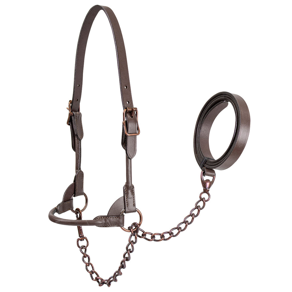 Derby Originals Rolled Leather Cattle Show Halter – Adjustable Fit with 48" Lead and 14" Chain, Small/Medium/Large – 1-Year Warranty