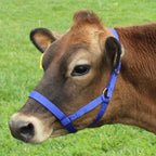 Derby Originals Adjustable Nylon Livestock Cattle Halters