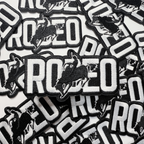 3.5" RODEO I  Embroidered Hat Patch