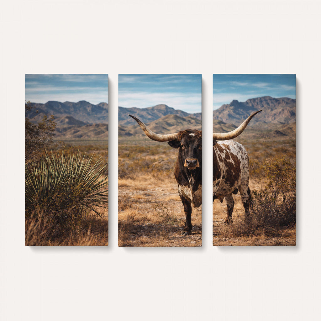 Texas Longhorn Bull Wall Art Canvas Print, Western Farmhouse Decor
