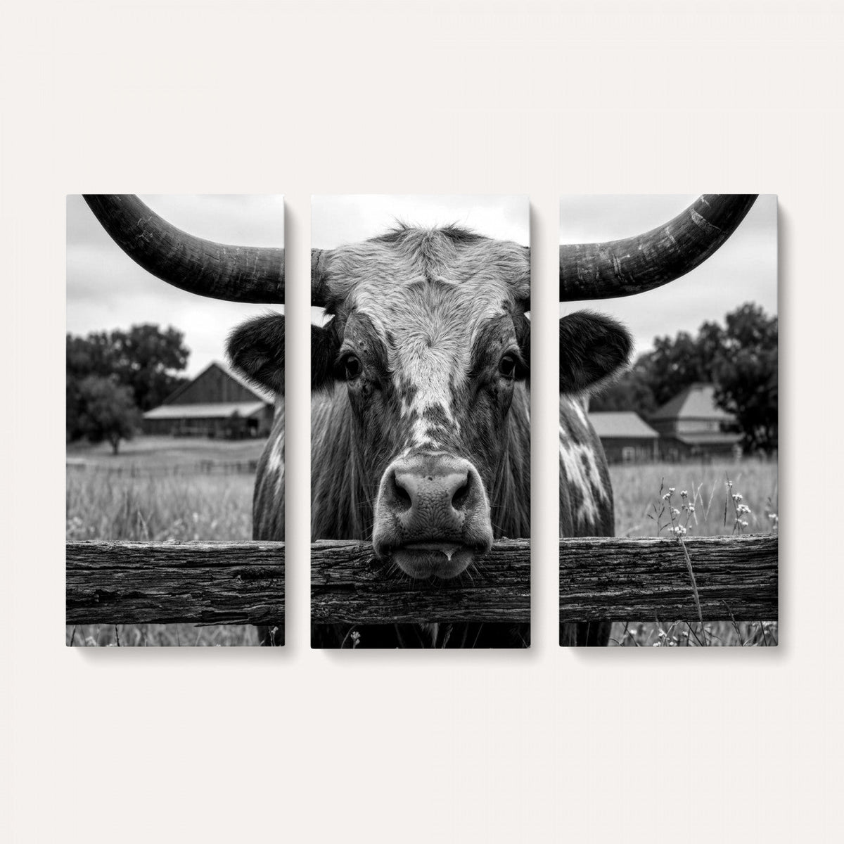 Black White Texas Longhorn Bull Canvas Wall Art, Western Ranch Cattle