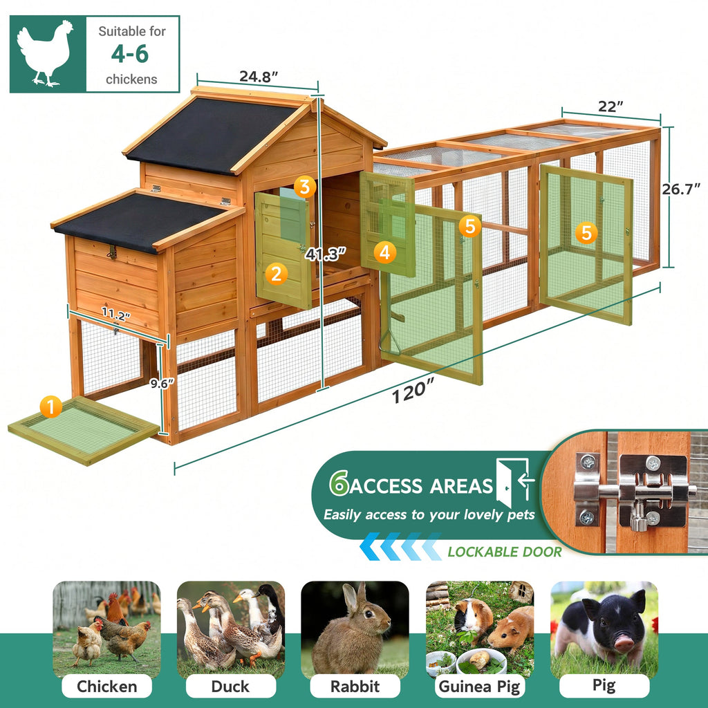 Large Chicken Coop with Nest Box and Run