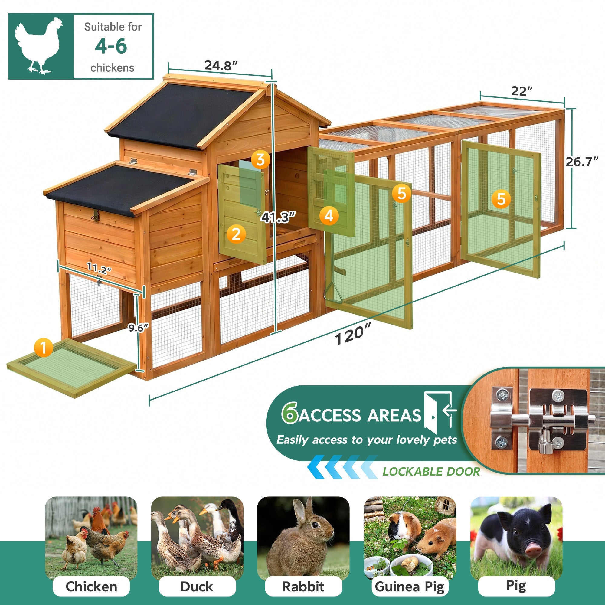 Large Chicken Coop with Nest Box and Run