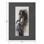 Black Fury Throw Blanket
