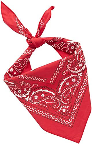 stylesilove Toddler Boys Blue Western Cowboy Vest, Pants, Hat, Red Bandana and Belt 5pcs Outfit