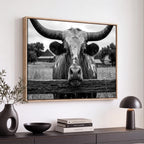 Black White Texas Longhorn Bull Canvas Wall Art, Western Ranch Cattle