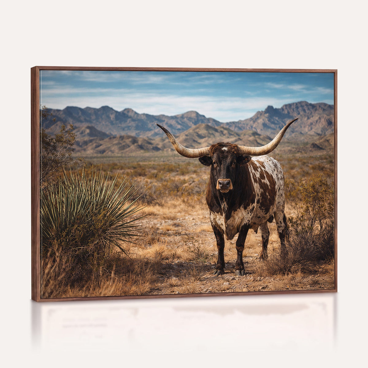 Texas Longhorn Bull Wall Art Canvas Print, Western Farmhouse Decor