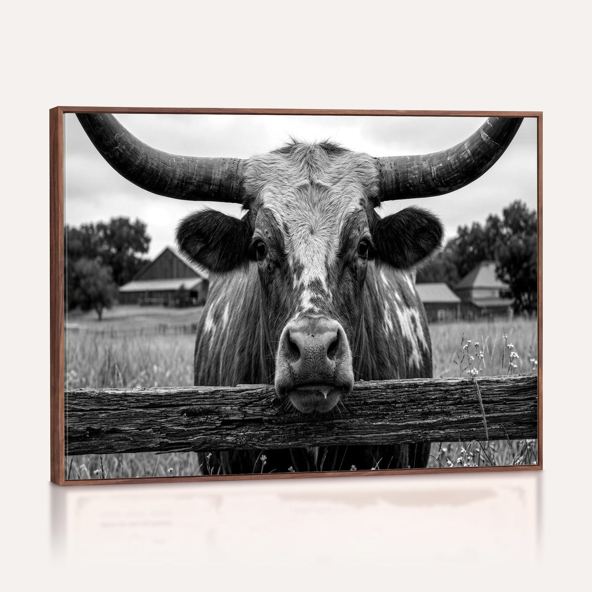 Black White Texas Longhorn Bull Canvas Wall Art, Western Ranch Cattle