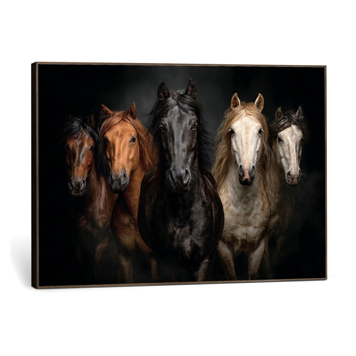 Horse Wall Art Canvas Print, Wild Horses Portrait Photography,