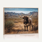 Texas Longhorn Bull Wall Art Canvas Print, Western Farmhouse Decor