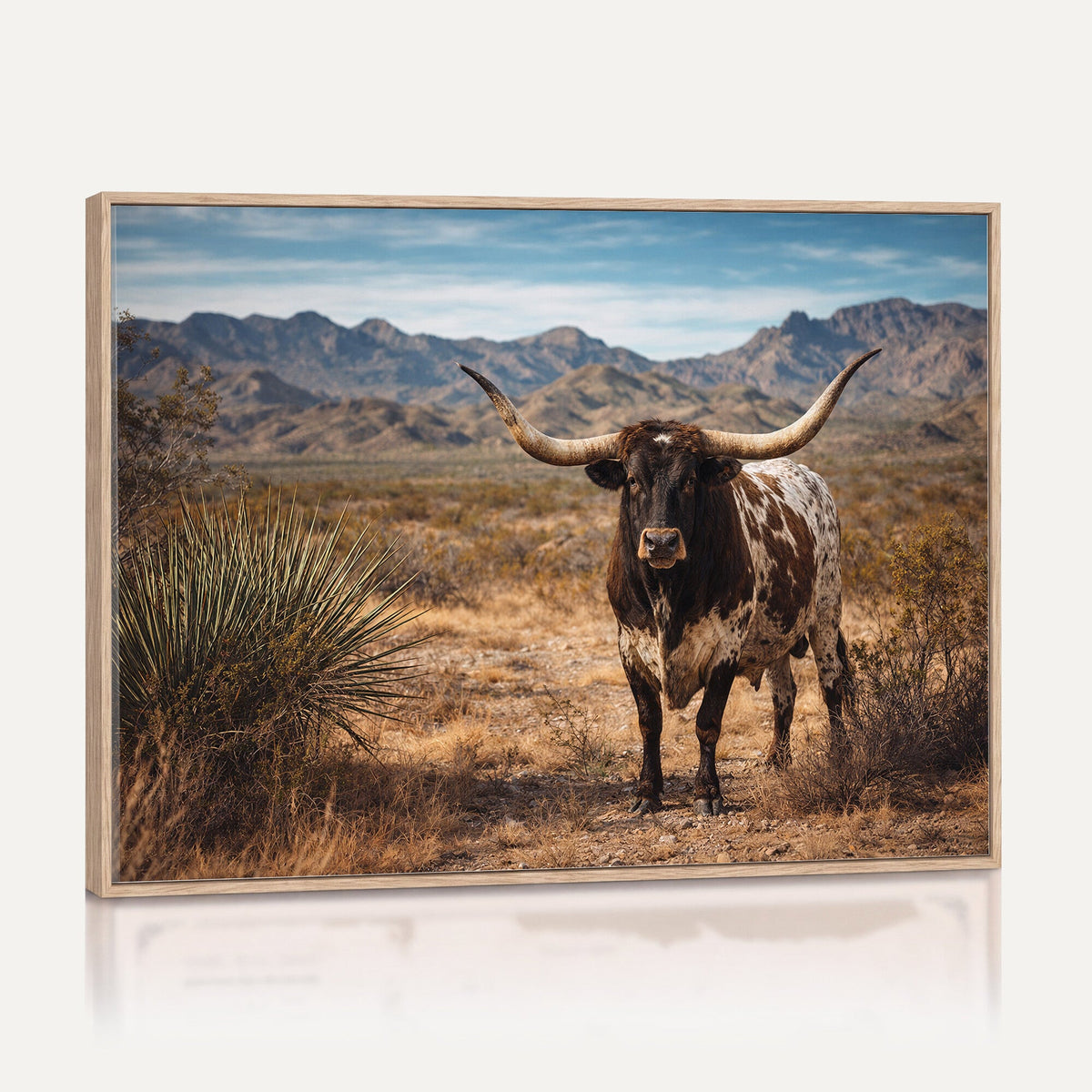Texas Longhorn Bull Wall Art Canvas Print, Western Farmhouse Decor