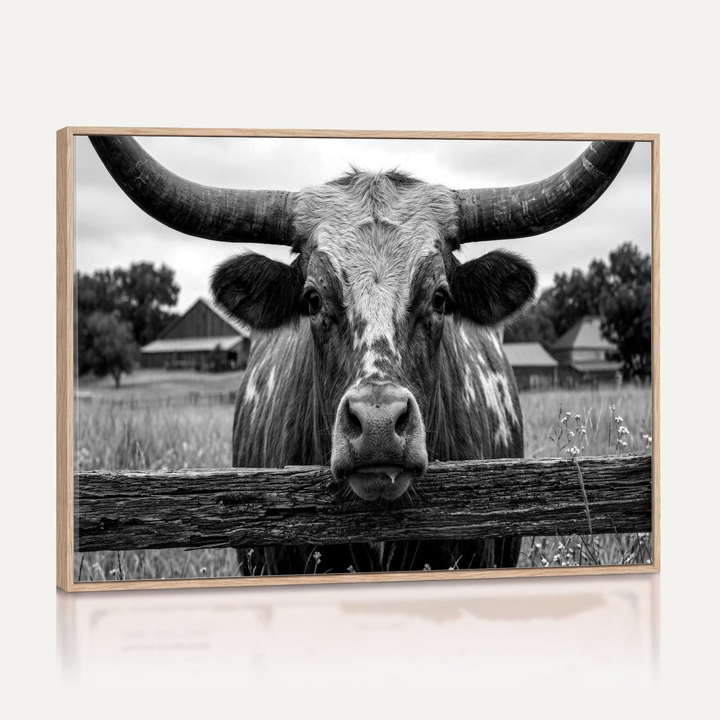 Black White Texas Longhorn Bull Canvas Wall Art, Western Ranch Cattle