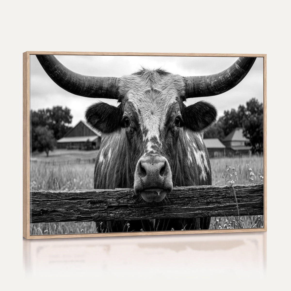 Black White Texas Longhorn Bull Canvas Wall Art, Western Ranch Cattle