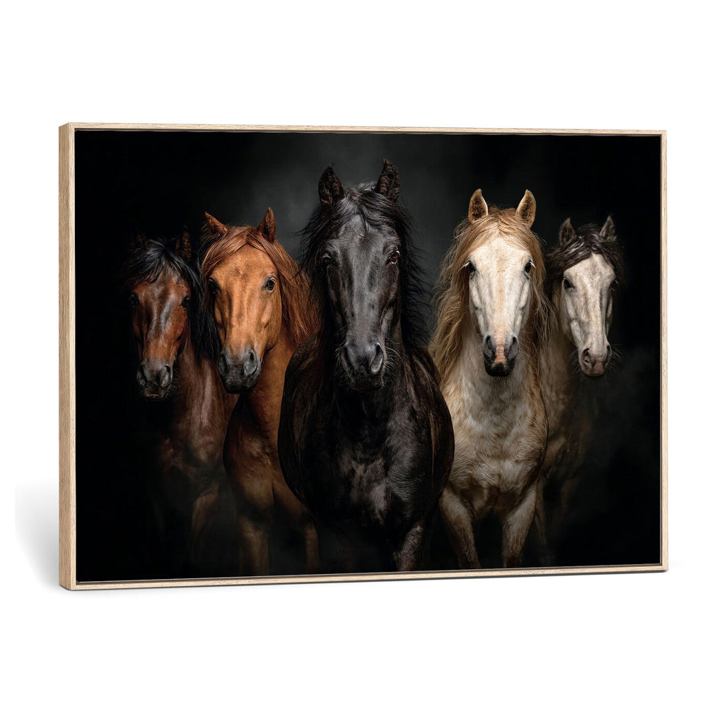 Horse Wall Art Canvas Print, Wild Horses Portrait Photography,