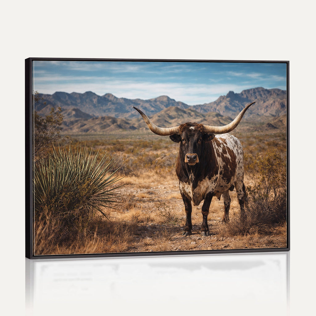 Texas Longhorn Bull Wall Art Canvas Print, Western Farmhouse Decor