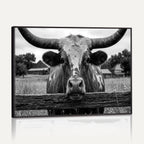 Black White Texas Longhorn Bull Canvas Wall Art, Western Ranch Cattle