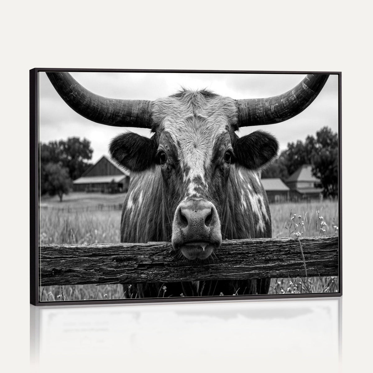 Black White Texas Longhorn Bull Canvas Wall Art, Western Ranch Cattle