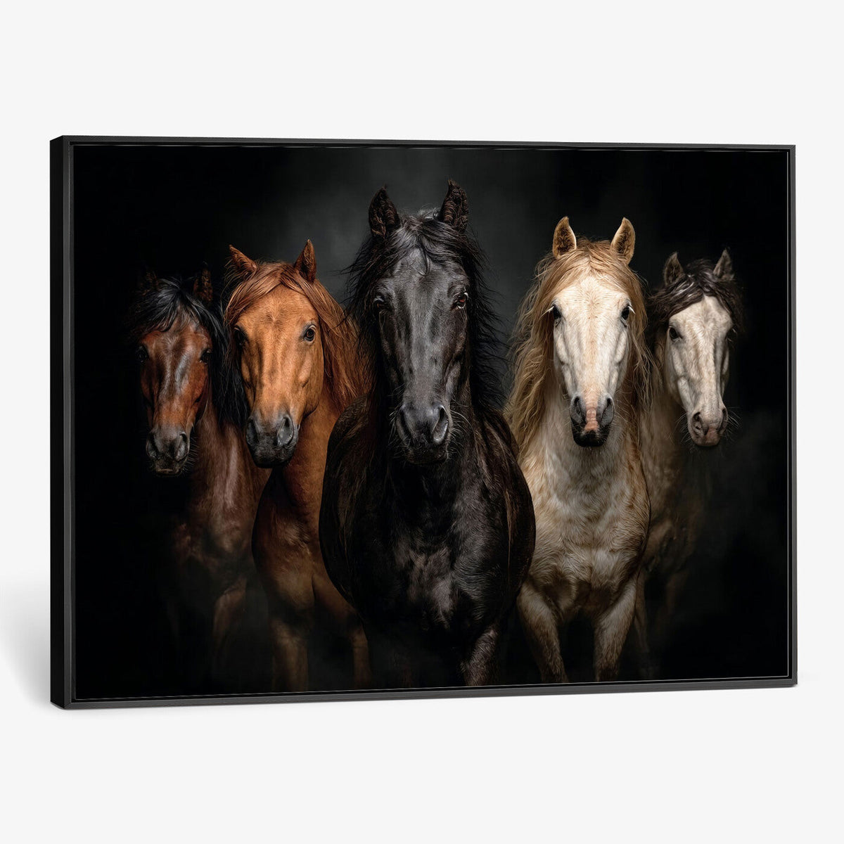 Horse Wall Art Canvas Print, Wild Horses Portrait Photography,