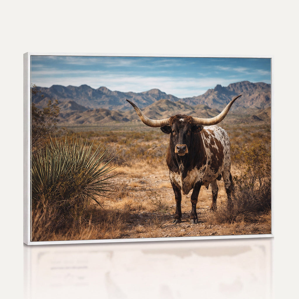 Texas Longhorn Bull Wall Art Canvas Print, Western Farmhouse Decor