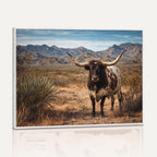 Texas Longhorn Bull Wall Art Canvas Print, Western Farmhouse Decor