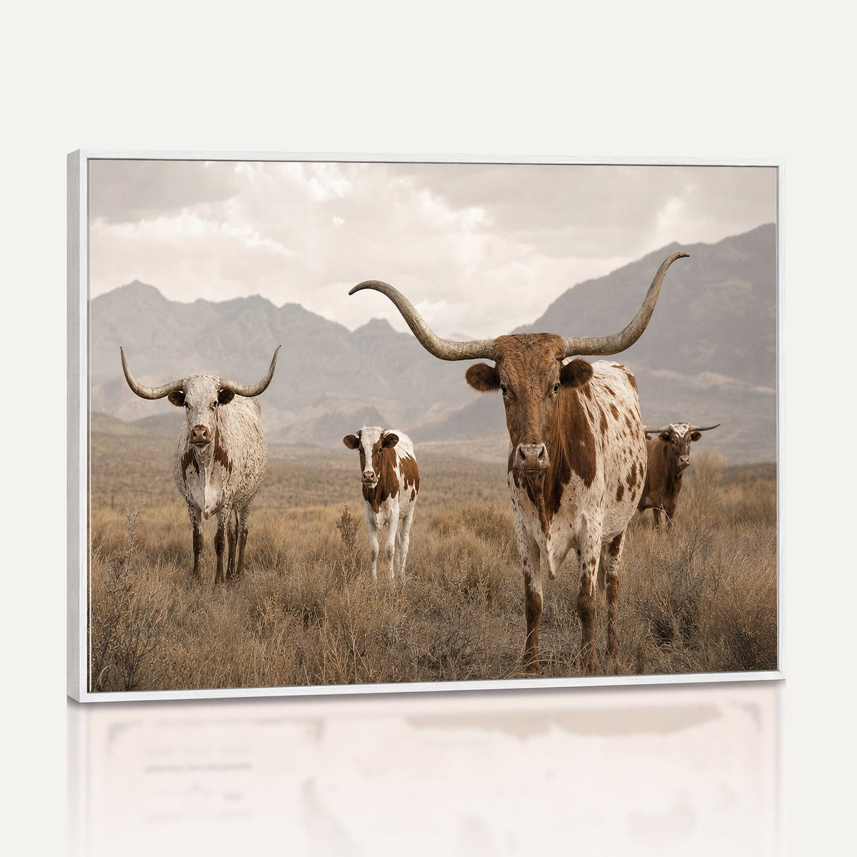 Rustic Texas Longhorn Cow Canvas Wall Art Print, Rustic Farm Animal