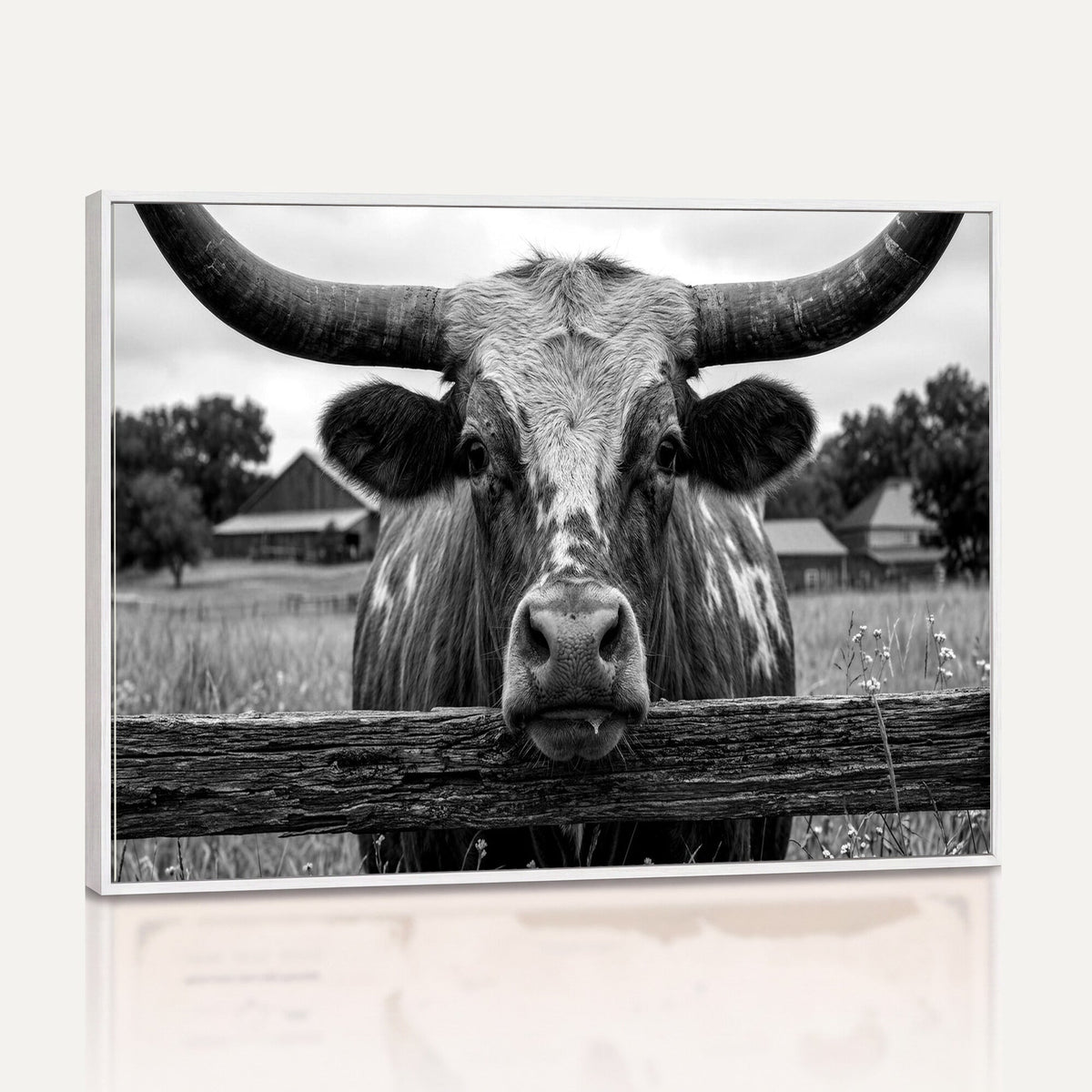 Black White Texas Longhorn Bull Canvas Wall Art, Western Ranch Cattle