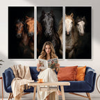 Horse Wall Art Canvas Print, Wild Horses Portrait Photography,
