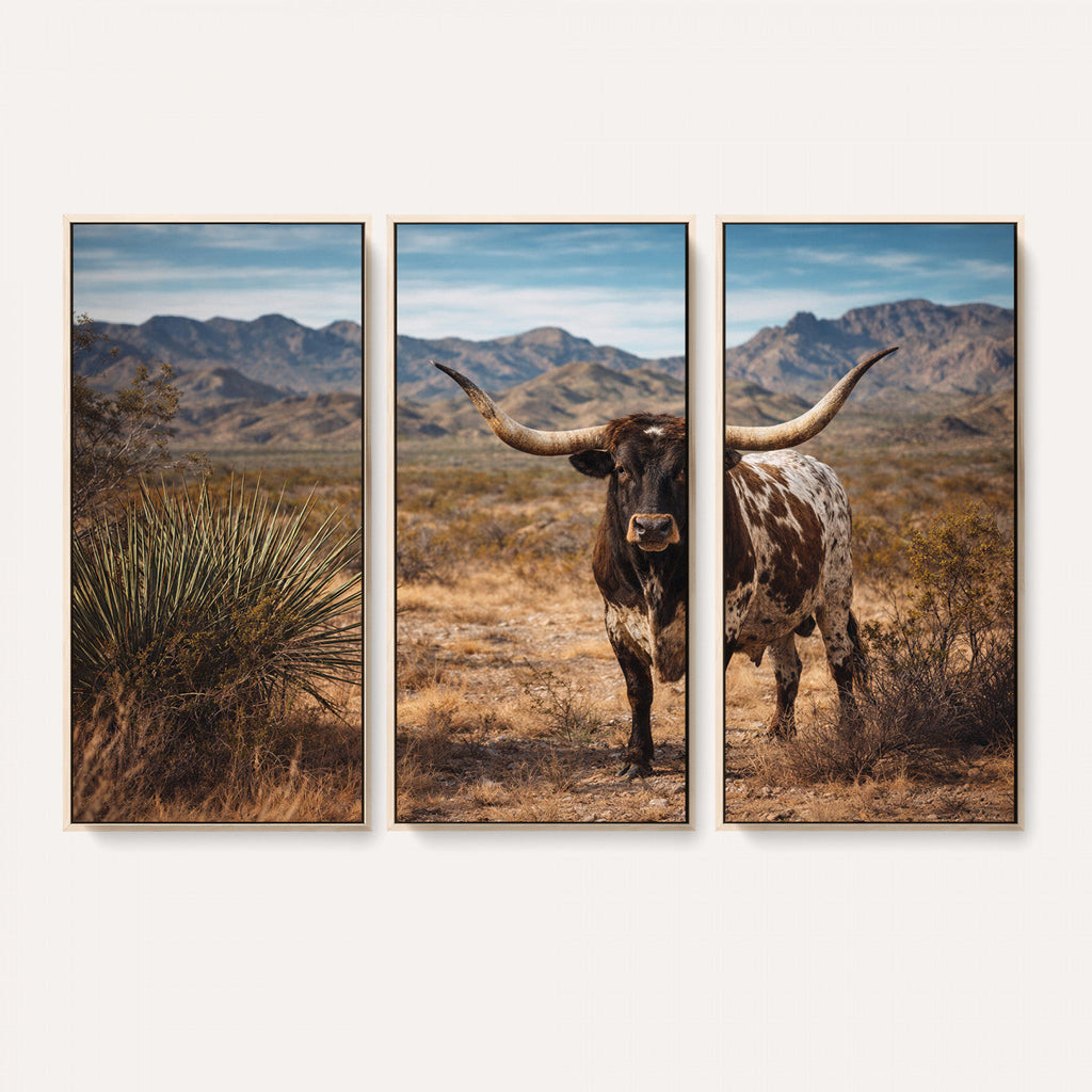 Texas Longhorn Bull Wall Art Canvas Print, Western Farmhouse Decor
