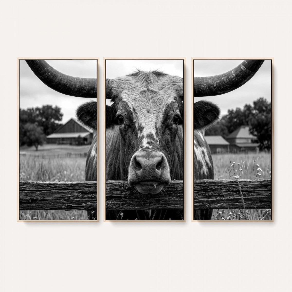Black White Texas Longhorn Bull Canvas Wall Art, Western Ranch Cattle
