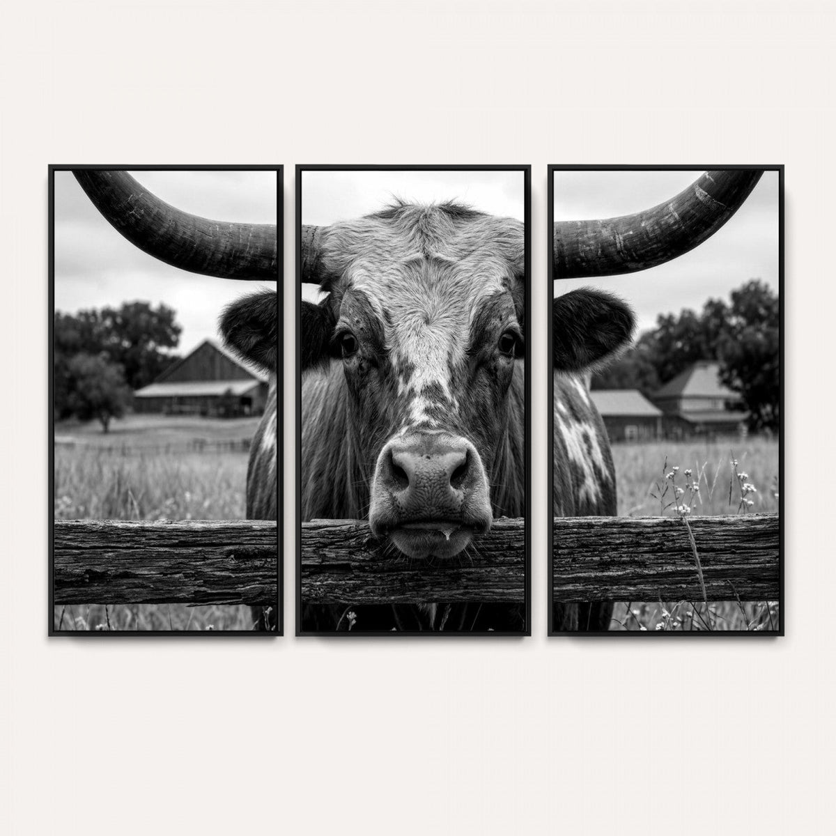 Black White Texas Longhorn Bull Canvas Wall Art, Western Ranch Cattle